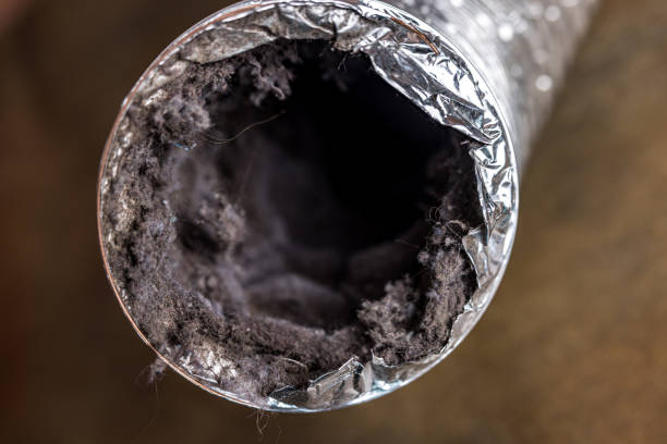 Best Best Air Duct Cleaning Company  in Rio Grande, NJ